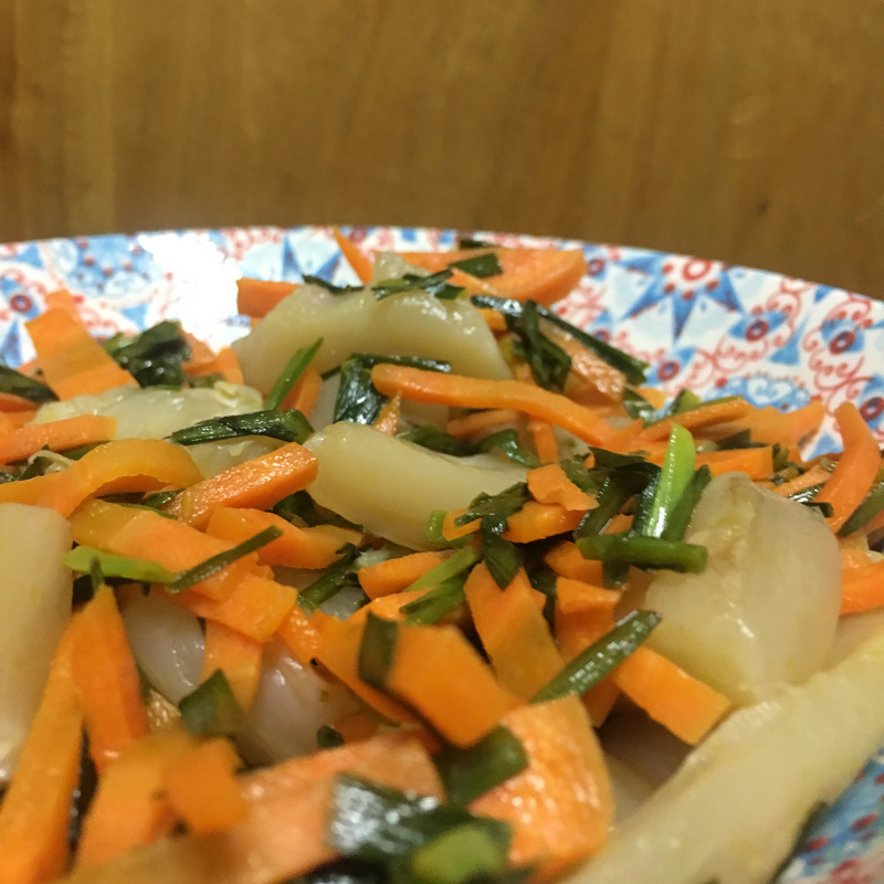 kompucha scoby 康普茶菌母