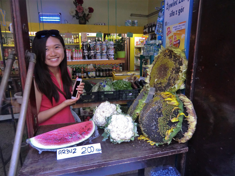 波蘭Krakow小超市裡的向日葵