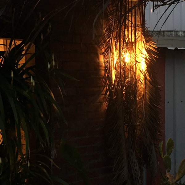 台東蔬食懷石料理問臭 台東蔬食懷石料理問臭