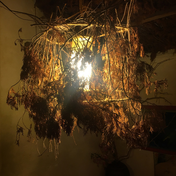 台東蔬食懷石料理問臭 台東蔬食懷石料理問臭