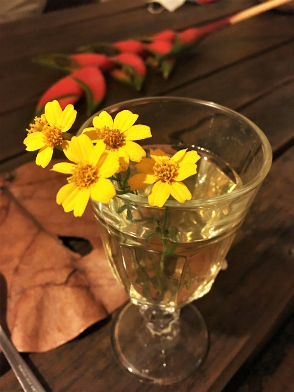 台東蔬食懷石料理問臭_花草水 台東蔬食懷石料理問臭_花草水