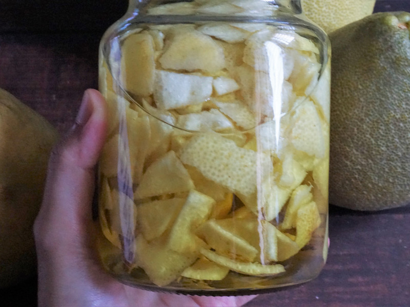 DIY柚子皮防蚊液 DIY柚子皮防蚊液