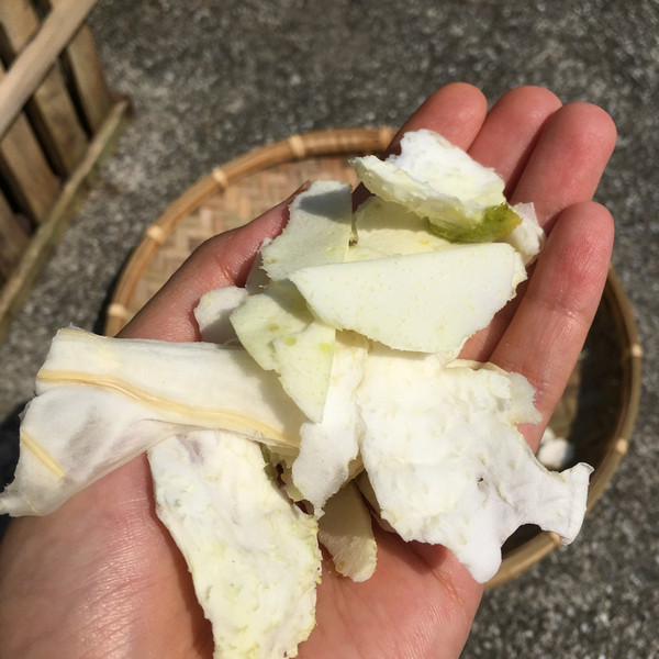 DIY柚子蚊香 DIY柚子蚊香