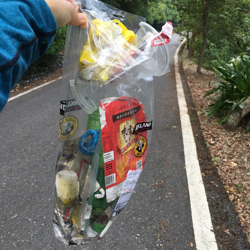 花蓮吉安楓林步道 花蓮吉安楓林步道