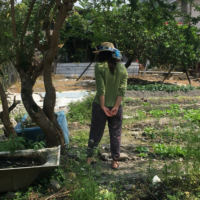 菜園喜事_實驗迷你小菜園 菜園喜事_實驗迷你小菜園