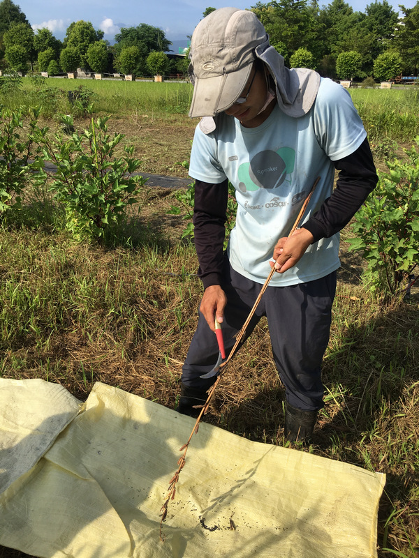 宜蘭_友善小農嘟嘟配陳幸延 宜蘭_友善小農嘟嘟配陳幸延