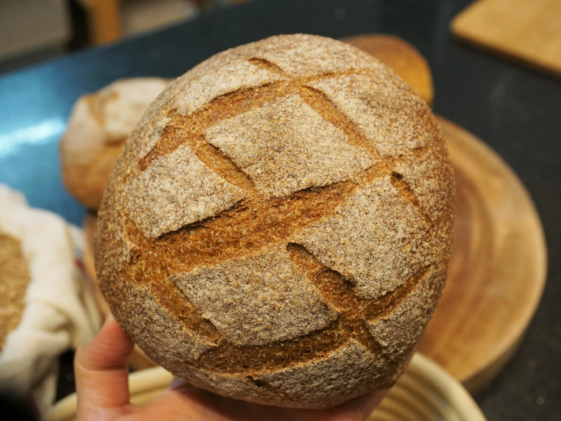 花蓮_慢 野生酵母酸種麵包烘焙坊Kiss the Land Sourdough Bakery_有機小麥