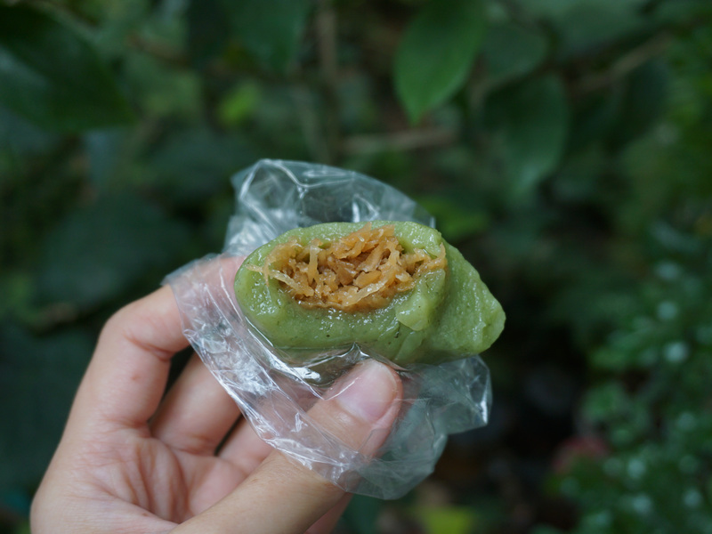 羅東聖母醫院對面攤車_素食蔬食草仔粿