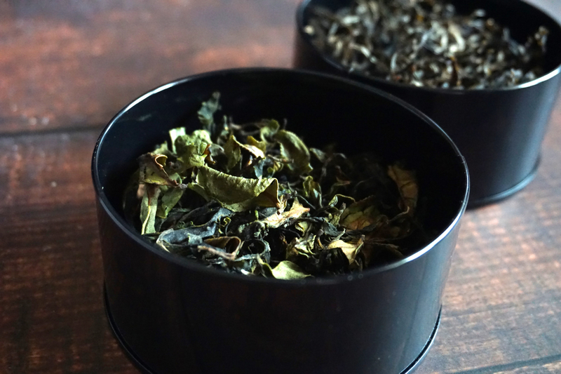 宜蘭農事體驗旅行_冬山正福茶園嫩尖綠茶