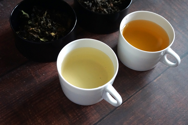 宜蘭農事體驗旅行_冬山正福茶園嫩尖綠茶&黃烏龍茶