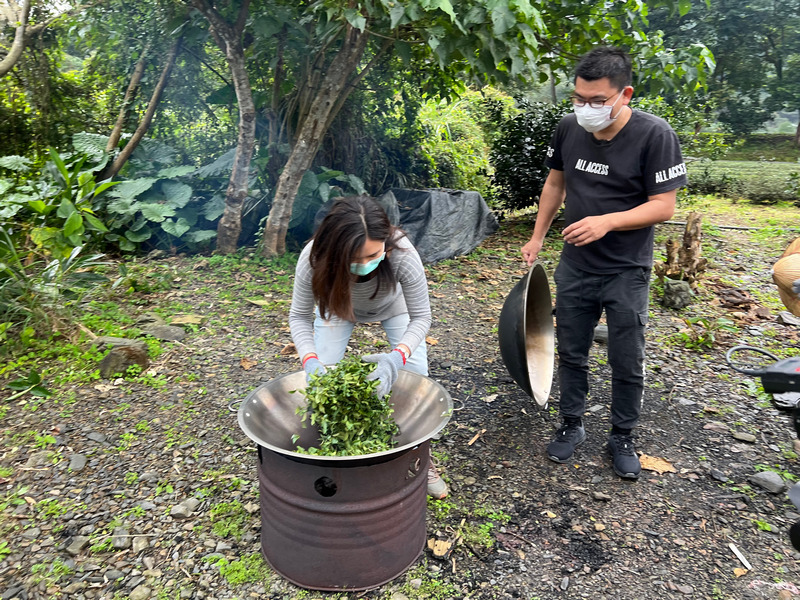 宜蘭農事體驗旅行_冬山正福茶園炒茶