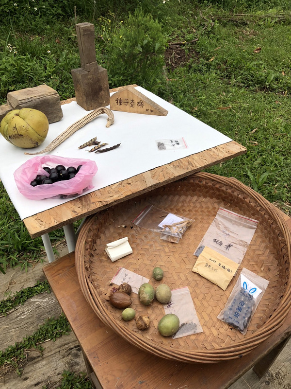 江湖開放工作室_2022年台灣樸門永續設計學會分享會