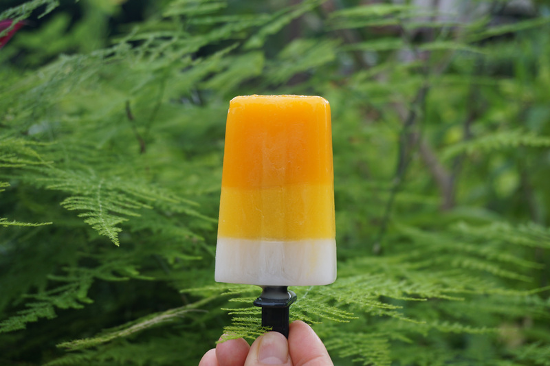 Provamel樸悅_比利時有機自然農法植物奶_有機杏仁奶