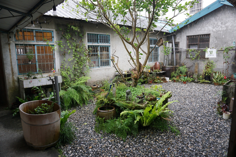 花蓮鳳林_拾豆屋_小豬多肉