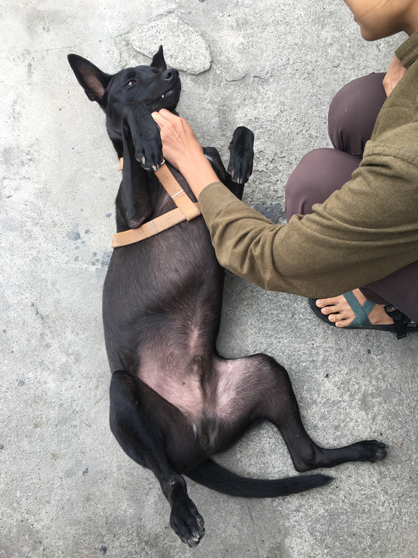 台東_關山_惣在生活_大田 台東_關山_惣在生活_大田