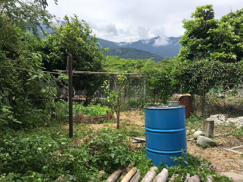 台東_關山_惣在生活_小菜園廚餘堆肥 台東_關山_惣在生活_小菜園廚餘堆肥