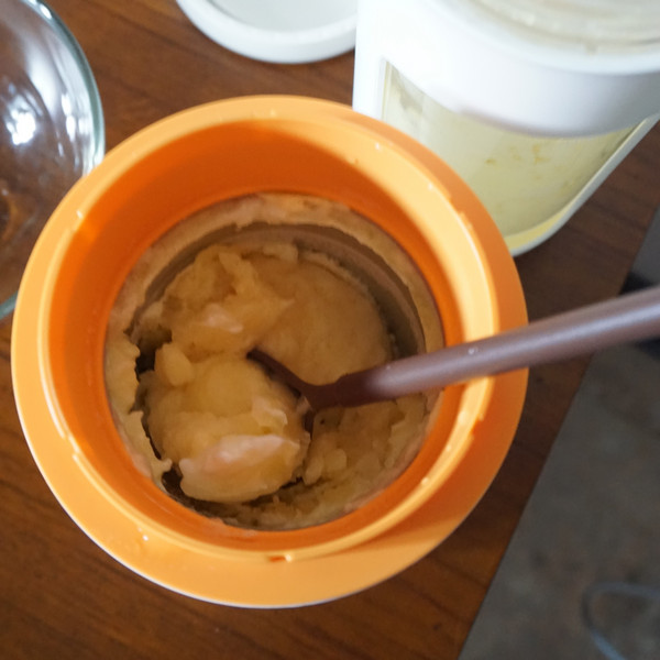 在家DIY冰淇淋機 在家DIY冰淇淋機