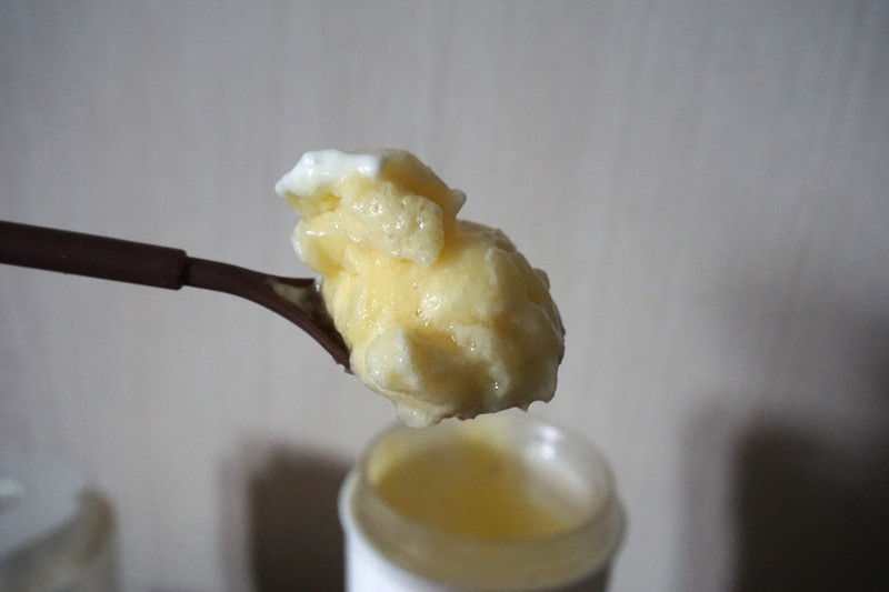 在家DIY冰淇淋機_vegan冰淇淋 在家DIY冰淇淋機_vegan冰淇淋