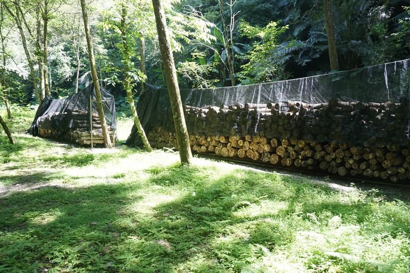 宜蘭馬告有機農場_有機段木香菇 宜蘭馬告有機農場_有機段木香菇
