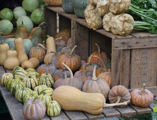 廚房零廢棄！蔬果廚餘不要丟，只要3步驟，變身為蔬菜高湯！