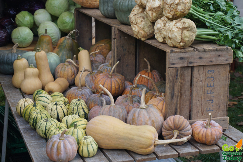 丹麥_哥本哈根有機農夫市集grønt marked