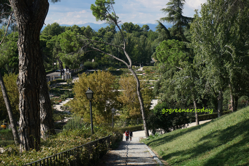 西班牙馬德里景點_玫瑰花園 Rosaleda del Parque del Oeste 西班牙馬德里景點_玫瑰花園 Rosaleda del Parque del Oeste