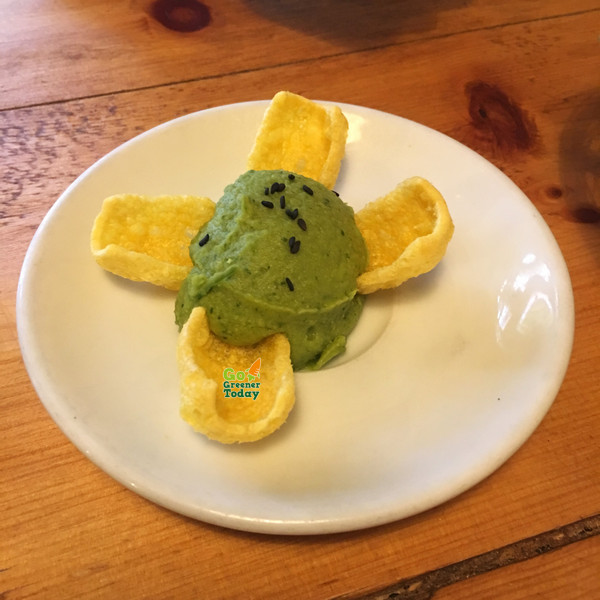 西班牙馬德里有機vegan蔬食餐廳VEGA 西班牙馬德里有機vegan蔬食餐廳VEGA