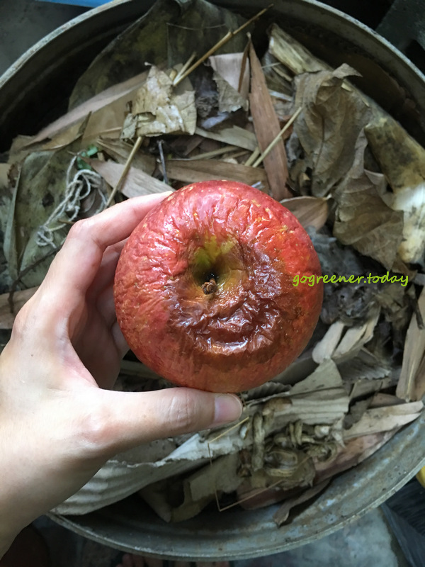 蚯蚓堆肥 蚯蚓堆肥