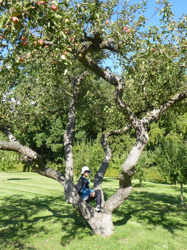 丹麥應允之地 丹麥應允之地