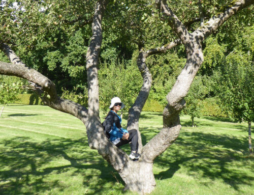 我要買一塊地！