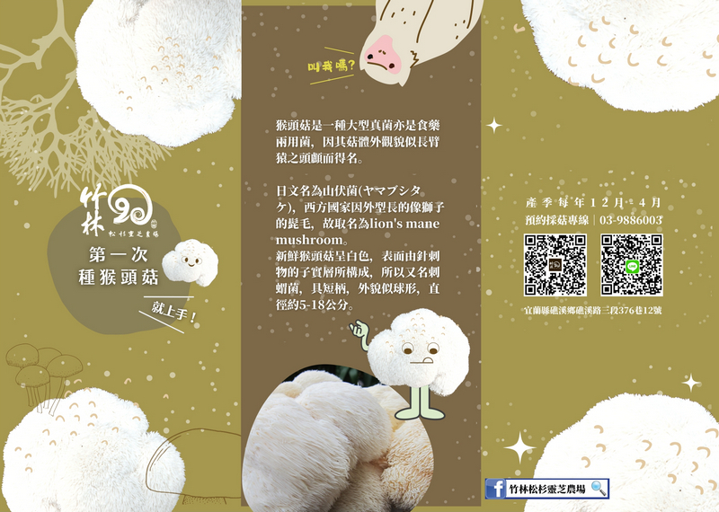 宜蘭有機竹林松杉靈芝農場_猴頭菇 宜蘭有機竹林松杉靈芝農場_猴頭菇