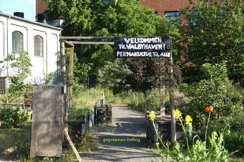 丹麥志工_樸門永續設計城市菜園Valbyhaven