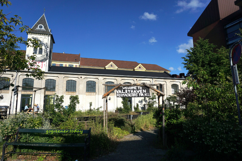 丹麥志工_樸門永續設計城市菜園Valbyhaven