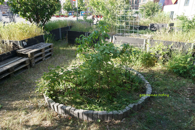 丹麥志工_樸門永續設計城市菜園Valbyhaven