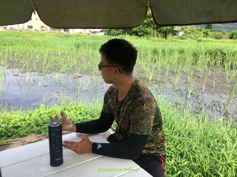 樹仔下_自然農法Youtuber_無農藥無肥料無除草劑