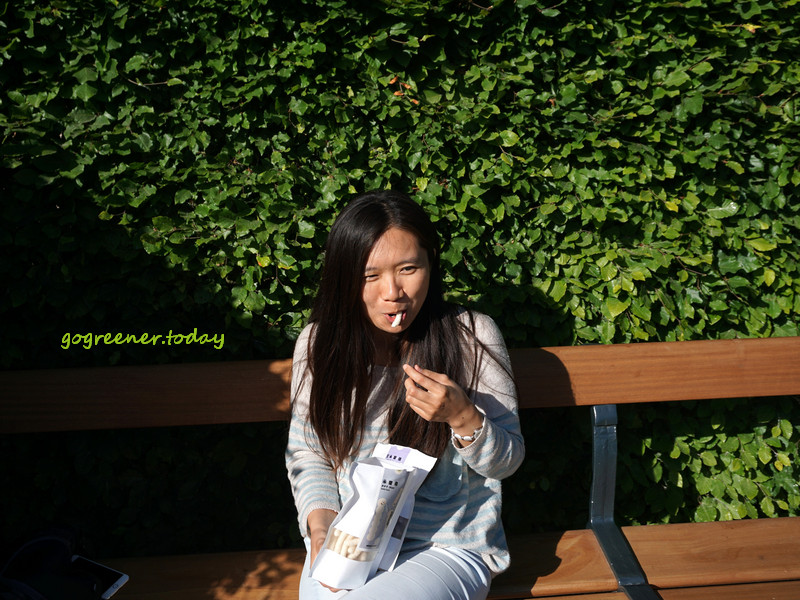 樹仔下_自然農法米菓條_無農藥無肥料無除草劑