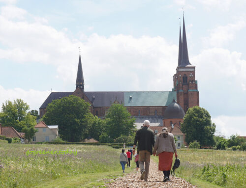 OFFLINE 腦袋關機下線的十天