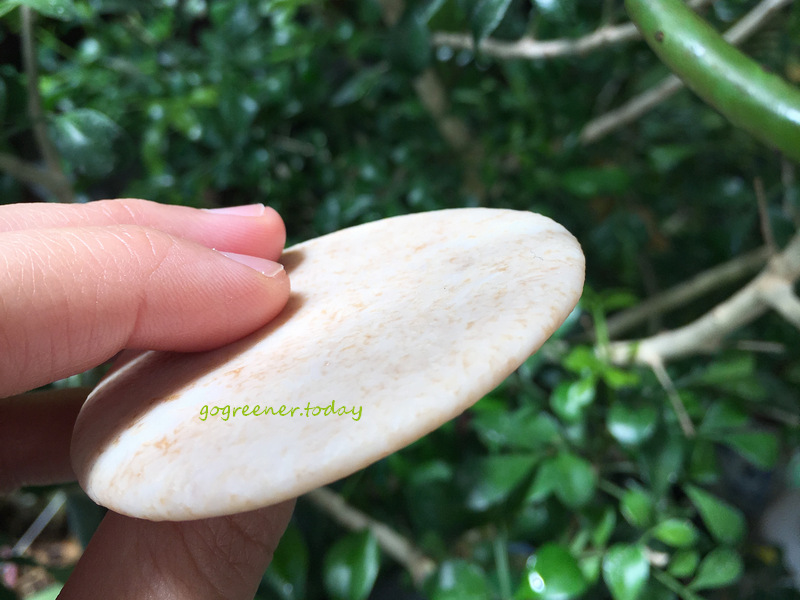 poo-free+洗髮皂用半年