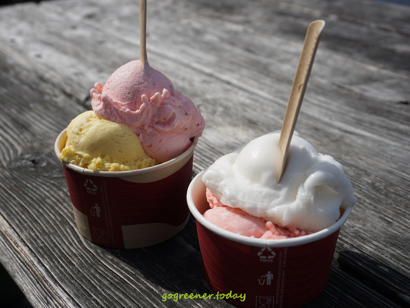 丹麥vegan純植冰淇淋_Paradis