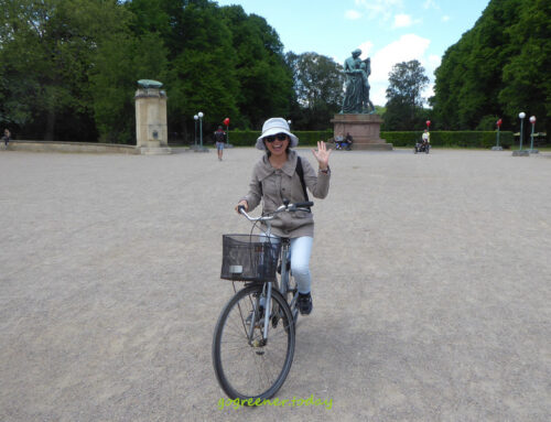 抵達目的地之後，9種永續旅行方式