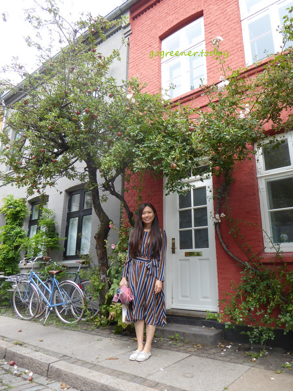 2023 丹麥哥本哈根 街景 蘋果樹 2023 丹麥哥本哈根 街景 蘋果樹