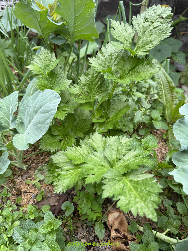 永續過好年_黑手指自訓班