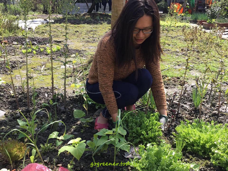20200315 Juanita迷你菜園