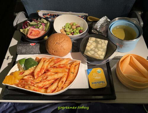 永續旅行－我在前往丹麥的飛機上，與鄰座陌生乘客合力減塑的小故事！