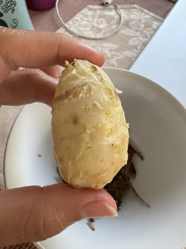 台東都蘭蔬食_ 樸門學姊Ann的毛地瓜 台東都蘭蔬食_ 樸門學姊Ann的毛地瓜