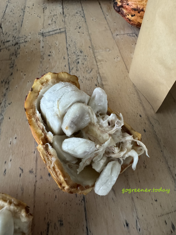 台東都蘭vegan/純素 無麩質甜點_Green Tara 台東都蘭vegan/純素 無麩質甜點_Green Tara