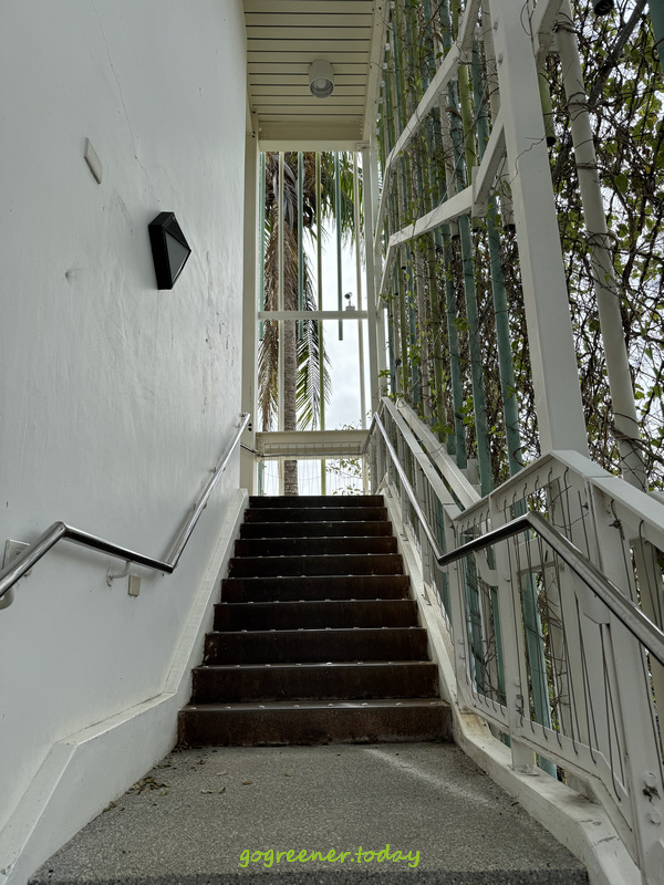 台東都蘭蔬食_藝蔬咖食坊kiso kiy'a