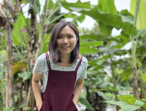 Poo-free 不用洗髮精，三週年！