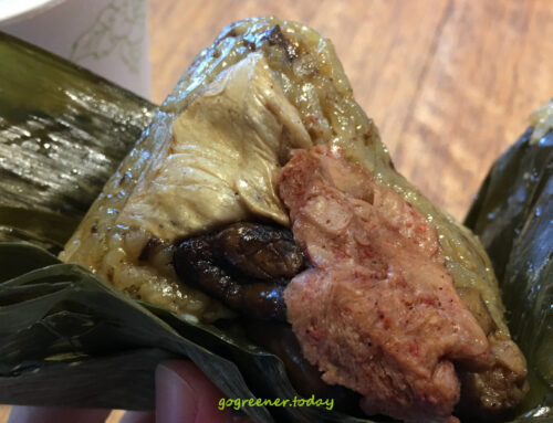 台東火車站等車，vegan/純素蔬食者可以吃什麼？