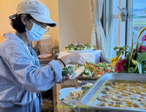宜蘭民宿蔬食外燴－一簞食 ＆ Juanita小小農開張！